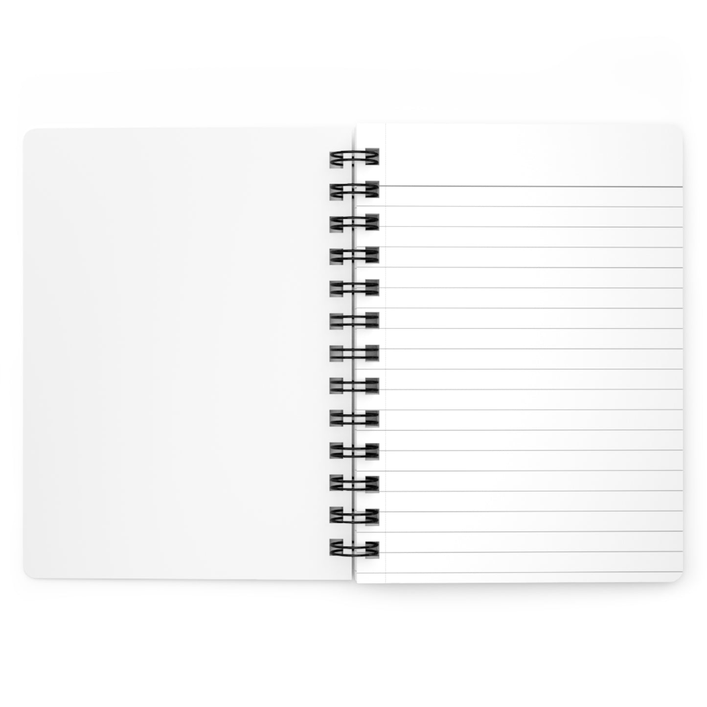 Accounting Action Spiral Bound Journal