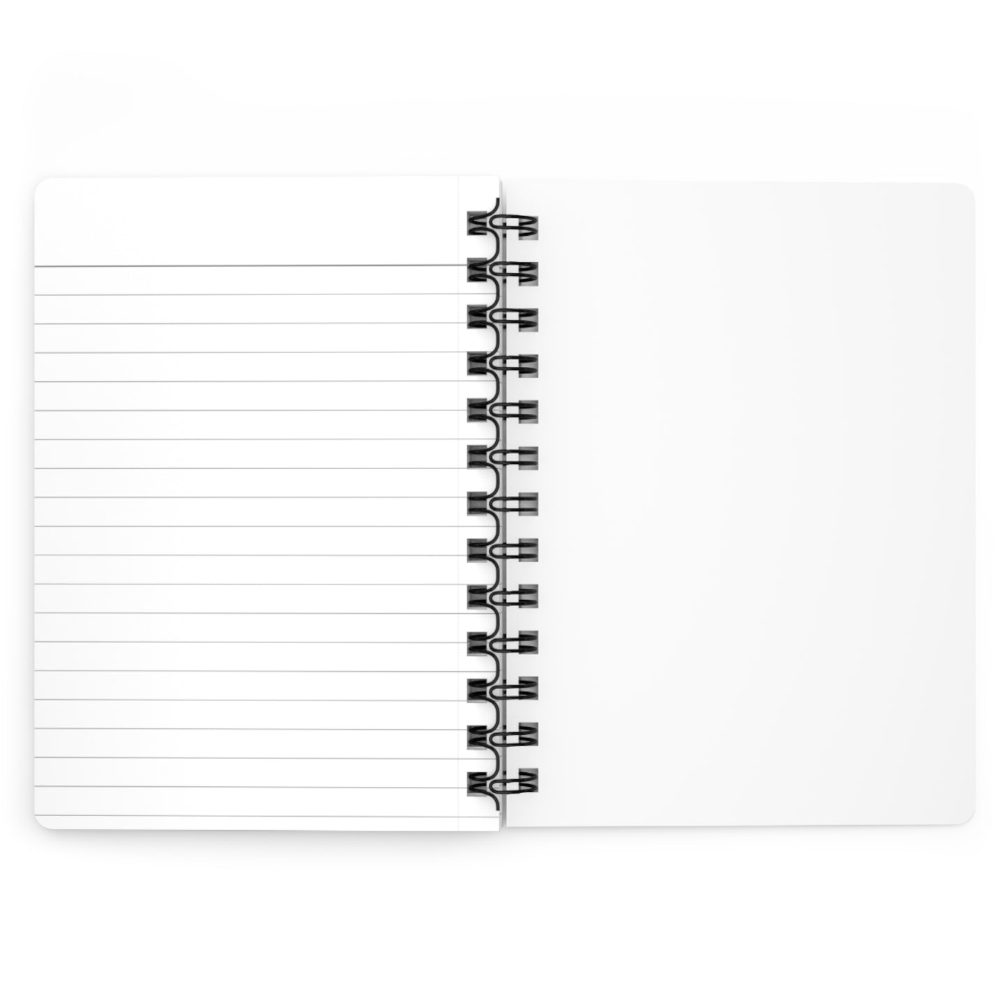 Accounting Action Spiral Bound Journal
